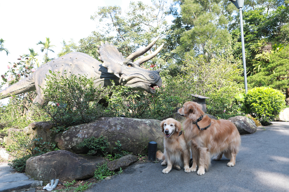 台北三峽寵物友善飯店|大板根森林溫泉酒店。寵物客房、帶毛小孩爬山體驗森林芬多精吧! - 第53張圖 台北三峽寵物友善飯店|大板根森林溫泉酒店。寵物客房、帶毛小孩爬山體驗森林芬多精吧!