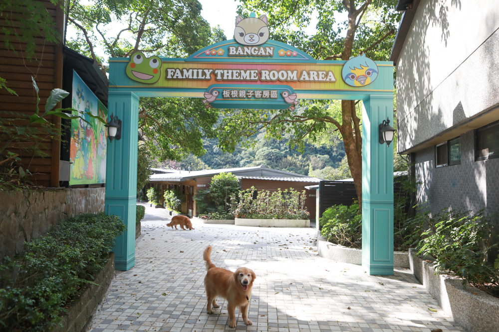 台北三峽寵物友善飯店｜大板根森林溫泉酒店。寵物客房、帶毛小孩爬山體驗森林芬多精吧！