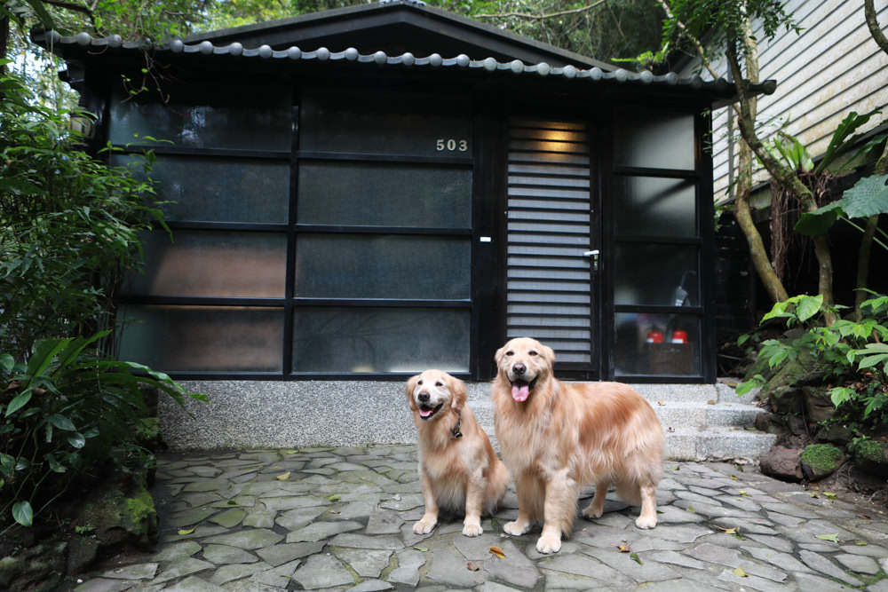 台北三峽寵物友善飯店|大板根森林溫泉酒店。寵物客房、帶毛小孩爬山體驗森林芬多精吧! - 第46張圖 台北三峽寵物友善飯店|大板根森林溫泉酒店。寵物客房、帶毛小孩爬山體驗森林芬多精吧!