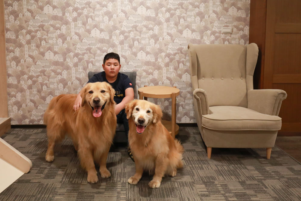 台北三峽寵物友善飯店|大板根森林溫泉酒店。寵物客房、帶毛小孩爬山體驗森林芬多精吧! - 第27張圖 台北三峽寵物友善飯店|大板根森林溫泉酒店。寵物客房、帶毛小孩爬山體驗森林芬多精吧!