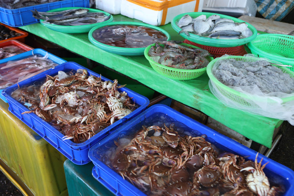 宜蘭頭城景點｜大溪漁港。漁夫市集新鮮海鮮、採買漁獲超新鮮、龍蝦戰車螃蟹生猛海鮮
