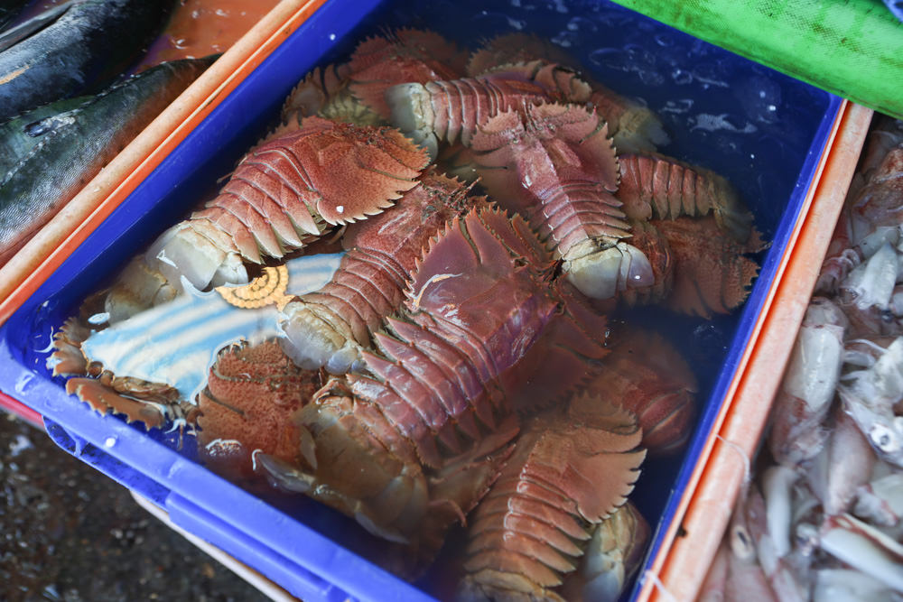 宜蘭頭城景點｜大溪漁港。漁夫市集新鮮海鮮、採買漁獲超新鮮、龍蝦戰車螃蟹生猛海鮮