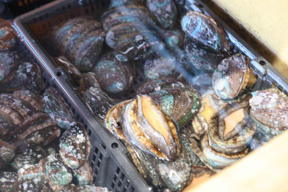 宜蘭頭城景點｜大溪漁港。漁夫市集新鮮海鮮、採買漁獲超新鮮、龍蝦戰車螃蟹生猛海鮮