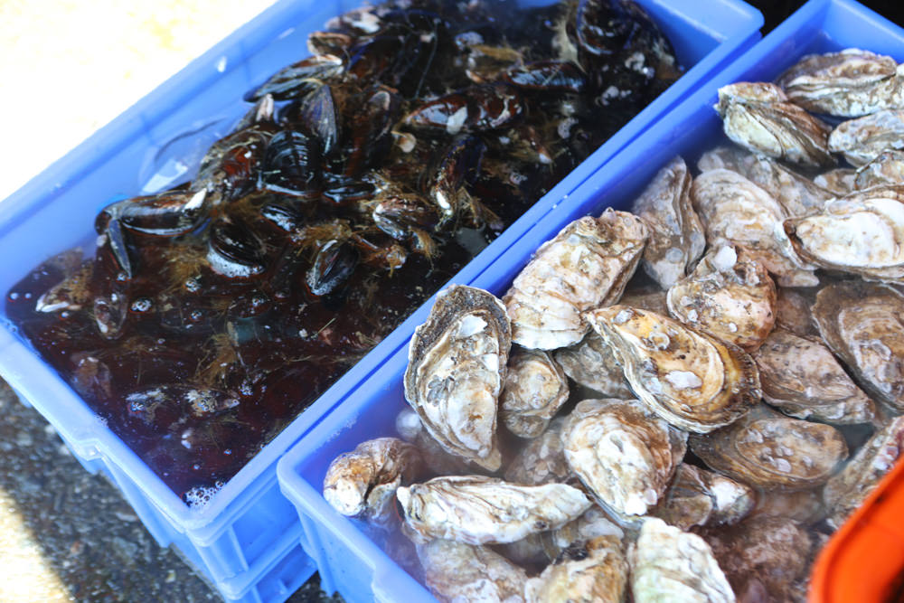 宜蘭頭城景點｜大溪漁港。漁夫市集新鮮海鮮、採買漁獲超新鮮、龍蝦戰車螃蟹生猛海鮮