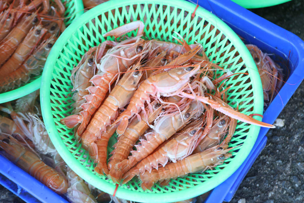 宜蘭頭城景點｜大溪漁港。漁夫市集新鮮海鮮、採買漁獲超新鮮、龍蝦戰車螃蟹生猛海鮮