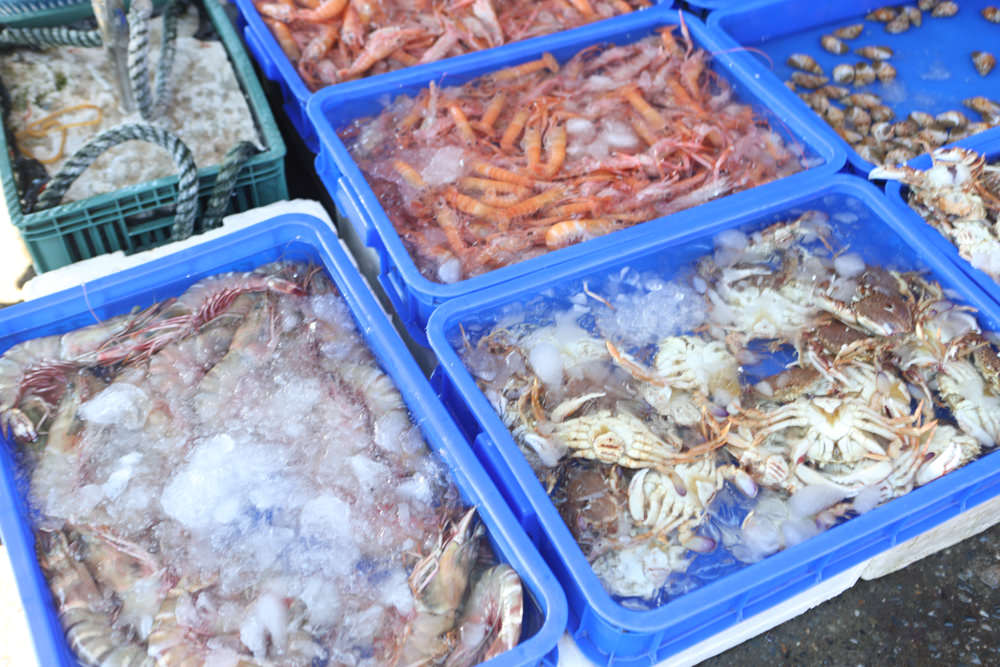 宜蘭頭城景點｜大溪漁港。漁夫市集新鮮海鮮、採買漁獲超新鮮、龍蝦戰車螃蟹生猛海鮮