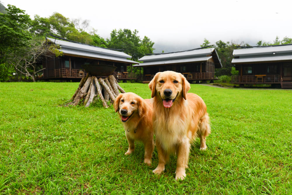 花蓮絕美飯店|太魯閣山月村。群山圍繞的美麗山谷、太魯閣傳統部落、寵物友善、一泊二食、布洛灣、山月吊橋! - 第18張圖 花蓮絕美飯店|太魯閣山月村。群山圍繞的美麗山谷、太魯閣傳統部落、寵物友善、一泊二食、布洛灣、山月吊橋!