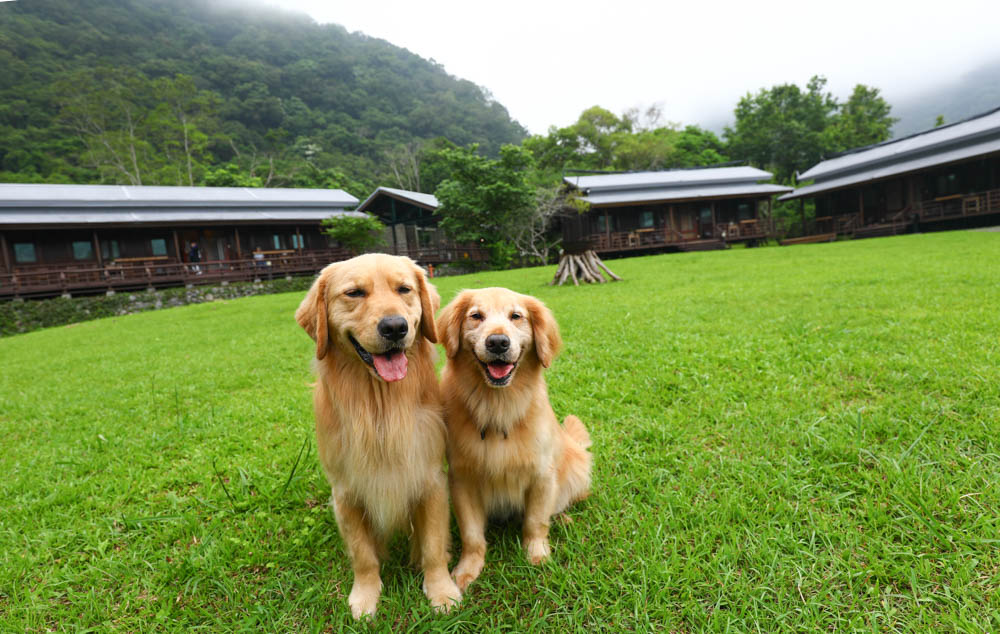 花蓮絕美飯店|太魯閣山月村。群山圍繞的美麗山谷、太魯閣傳統部落、寵物友善、一泊二食、布洛灣、山月吊橋! - 第54張圖 花蓮絕美飯店|太魯閣山月村。群山圍繞的美麗山谷、太魯閣傳統部落、寵物友善、一泊二食、布洛灣、山月吊橋!