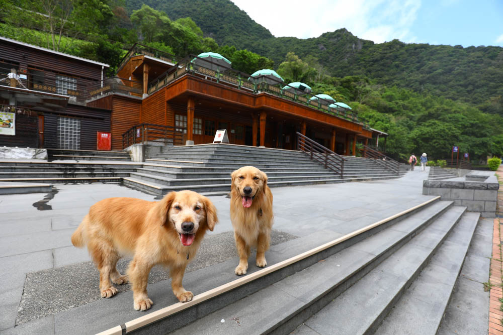 花蓮絕美飯店|太魯閣山月村。群山圍繞的美麗山谷、太魯閣傳統部落、寵物友善、一泊二食、布洛灣、山月吊橋! - 第49張圖 花蓮絕美飯店|太魯閣山月村。群山圍繞的美麗山谷、太魯閣傳統部落、寵物友善、一泊二食、布洛灣、山月吊橋!