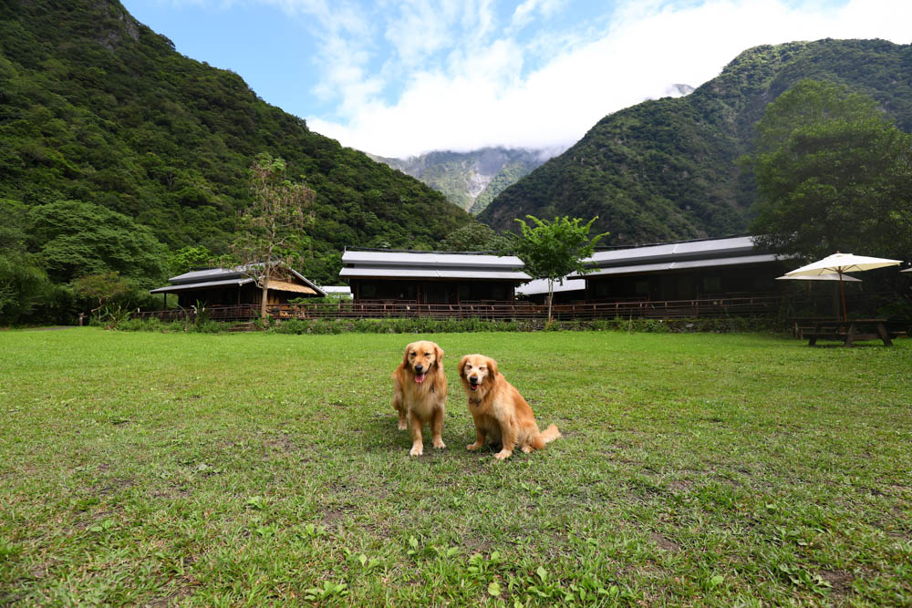 花蓮絕美飯店|太魯閣山月村。群山圍繞的美麗山谷、太魯閣傳統部落、寵物友善、一泊二食、布洛灣、山月吊橋! - 第7張圖 花蓮絕美飯店|太魯閣山月村。群山圍繞的美麗山谷、太魯閣傳統部落、寵物友善、一泊二食、布洛灣、山月吊橋!