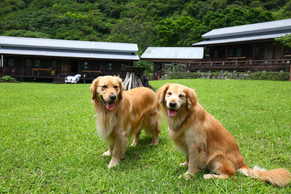 花蓮絕美飯店|太魯閣山月村。群山圍繞的美麗山谷、太魯閣傳統部落、寵物友善、一泊二食、布洛灣、山月吊橋! - 第1張圖 花蓮絕美飯店|太魯閣山月村。群山圍繞的美麗山谷、太魯閣傳統部落、寵物友善、一泊二食、布洛灣、山月吊橋!