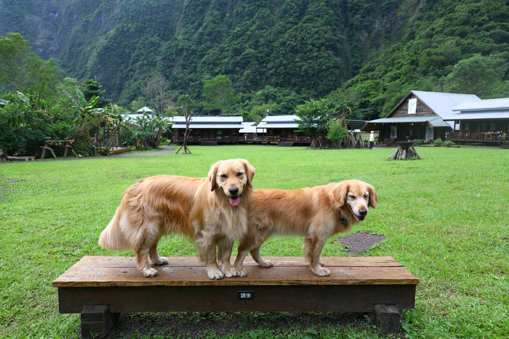花蓮絕美飯店|太魯閣山月村。群山圍繞的美麗山谷、太魯閣傳統部落、寵物友善、一泊二食、布洛灣、山月吊橋! - 第14張圖 花蓮絕美飯店|太魯閣山月村。群山圍繞的美麗山谷、太魯閣傳統部落、寵物友善、一泊二食、布洛灣、山月吊橋!