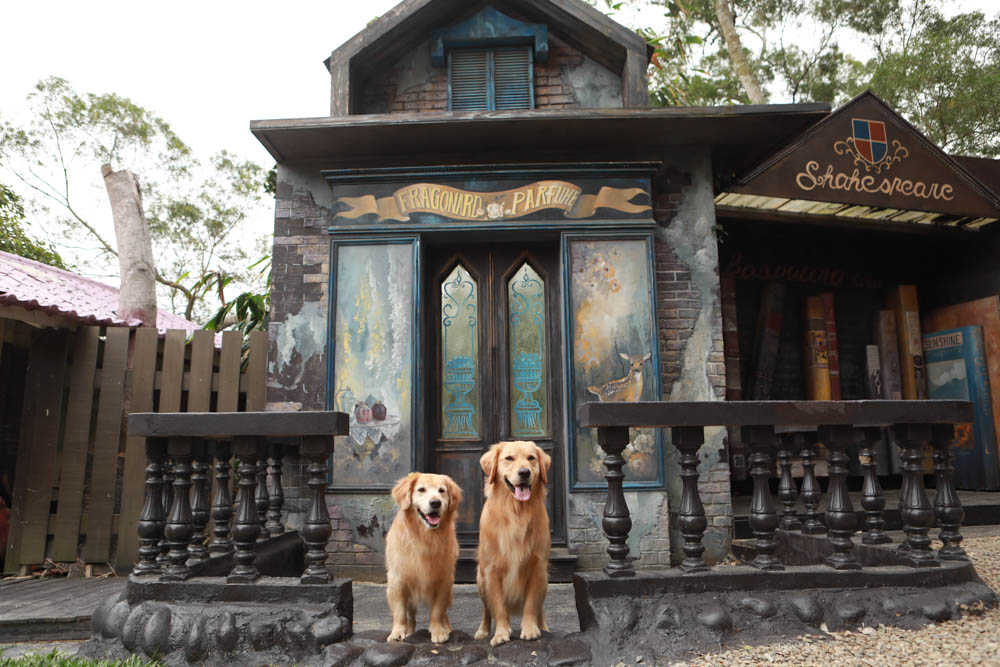 苗栗西湖|格林奇幻森林攝影基地。苗栗寵物友善景點、走進童話故事中夢幻場景、浪漫唯美婚紗場景 - 第9張圖 苗栗西湖|格林奇幻森林攝影基地。苗栗寵物友善景點、走進童話故事中夢幻場景、浪漫唯美婚紗場景