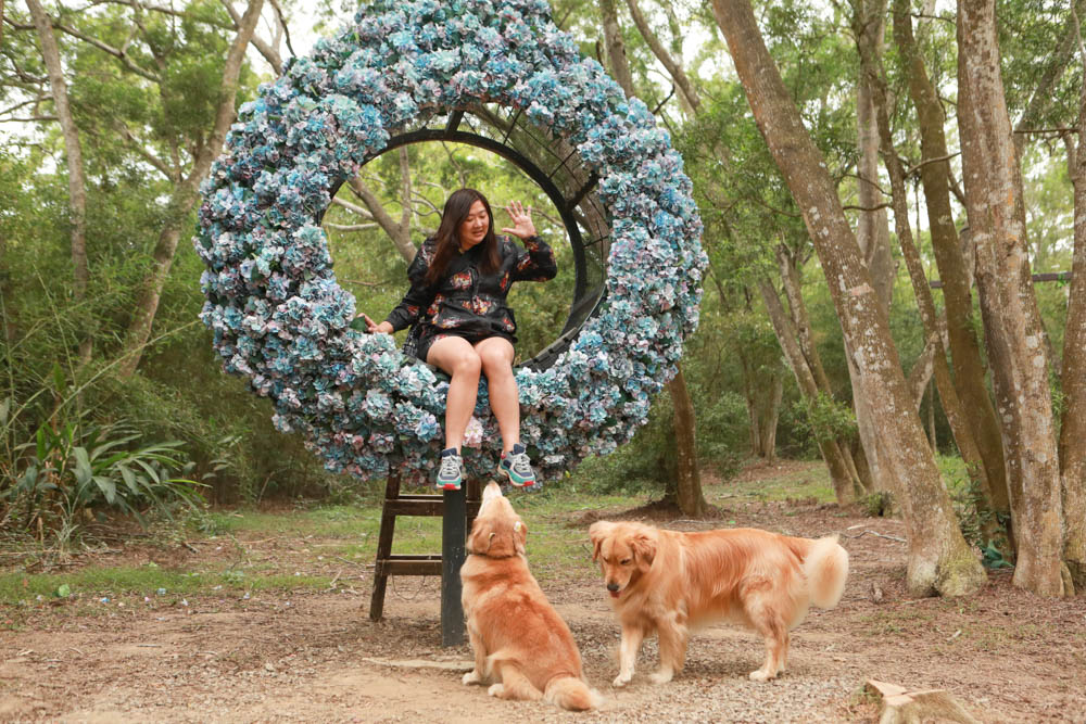 苗栗西湖|格林奇幻森林攝影基地。苗栗寵物友善景點、走進童話故事中夢幻場景、浪漫唯美婚紗場景 - 第21張圖 苗栗西湖|格林奇幻森林攝影基地。苗栗寵物友善景點、走進童話故事中夢幻場景、浪漫唯美婚紗場景