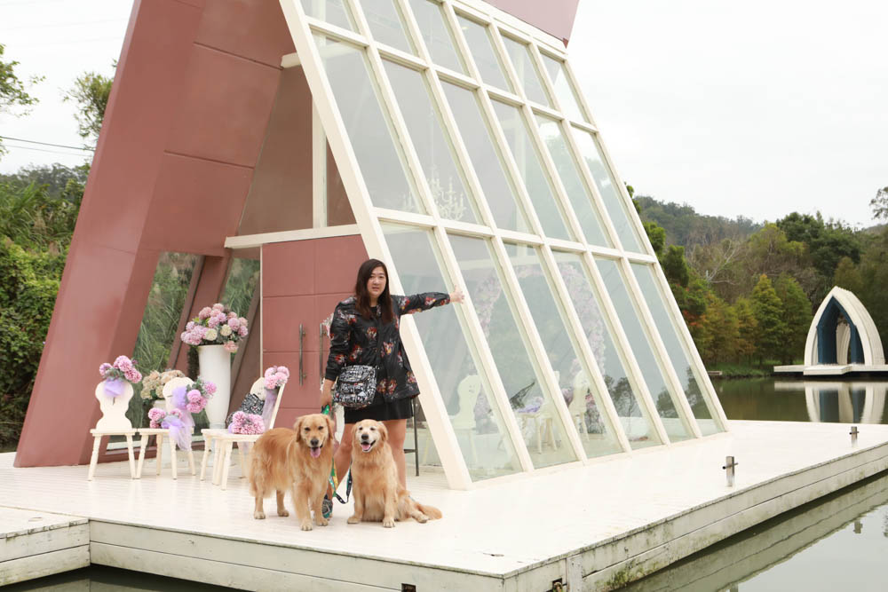 苗栗西湖|格林奇幻森林攝影基地。苗栗寵物友善景點、走進童話故事中夢幻場景、浪漫唯美婚紗場景 - 第38張圖 苗栗西湖|格林奇幻森林攝影基地。苗栗寵物友善景點、走進童話故事中夢幻場景、浪漫唯美婚紗場景