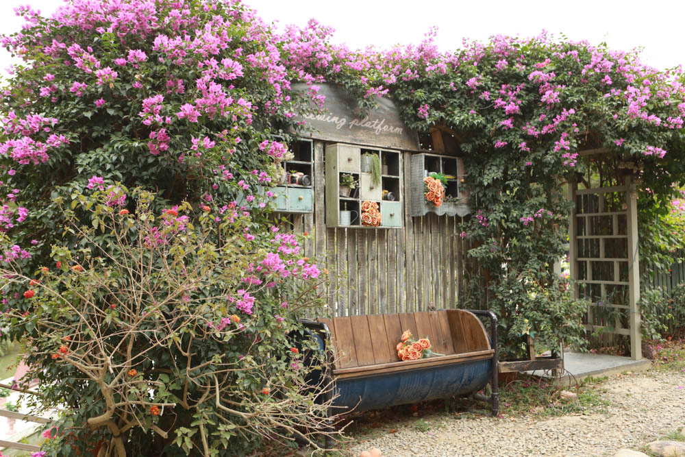 苗栗西湖|格林奇幻森林攝影基地。苗栗寵物友善景點、走進童話故事中夢幻場景、浪漫唯美婚紗場景 - 第50張圖 苗栗西湖|格林奇幻森林攝影基地。苗栗寵物友善景點、走進童話故事中夢幻場景、浪漫唯美婚紗場景