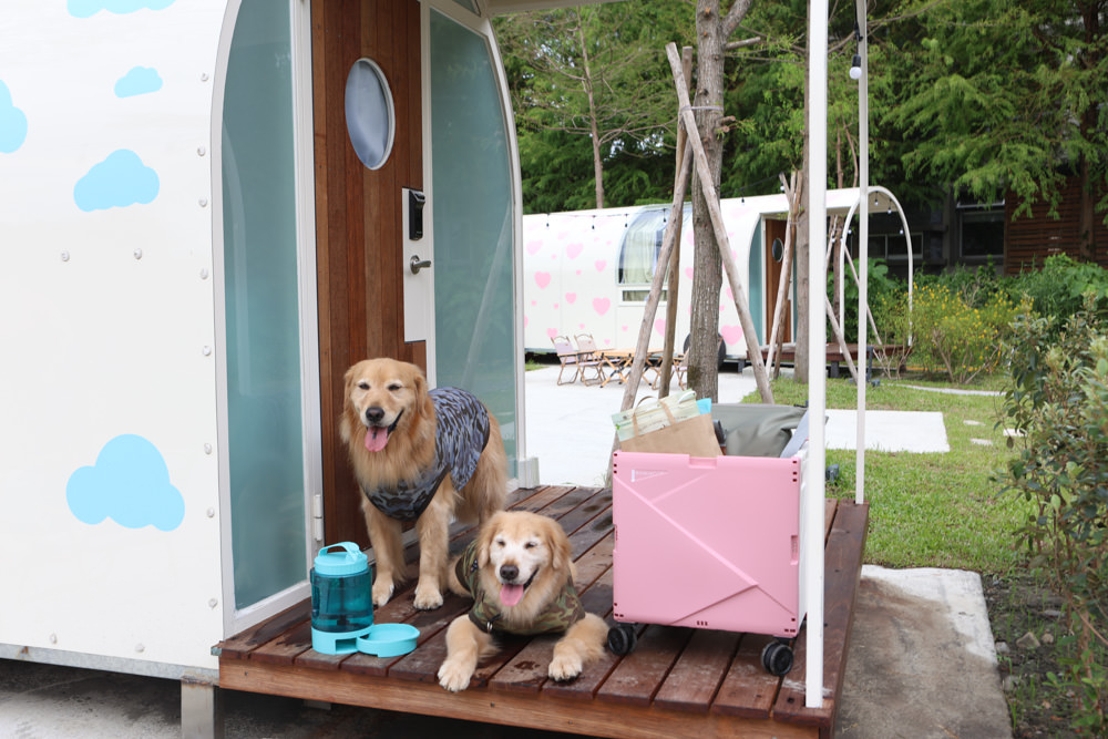 宜蘭三星|曼漫落羽松奶凍車莊園、獨家奶凍露營車、寵物友善、露營奶凍屋、五星級豪華露營車 - 第20張圖 宜蘭三星|曼漫落羽松奶凍車莊園、獨家奶凍露營車、寵物友善、露營奶凍屋、五星級豪華露營車
