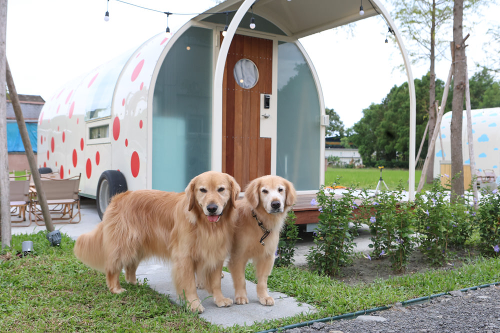宜蘭三星|曼漫落羽松奶凍車莊園、獨家奶凍露營車、寵物友善、露營奶凍屋、五星級豪華露營車 - 第12張圖 宜蘭三星|曼漫落羽松奶凍車莊園、獨家奶凍露營車、寵物友善、露營奶凍屋、五星級豪華露營車