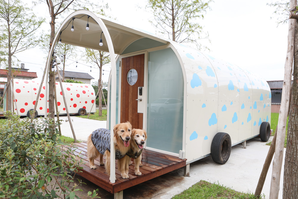 宜蘭三星|曼漫落羽松奶凍車莊園、獨家奶凍露營車、寵物友善、露營奶凍屋、五星級豪華露營車 - 第21張圖 宜蘭三星|曼漫落羽松奶凍車莊園、獨家奶凍露營車、寵物友善、露營奶凍屋、五星級豪華露營車