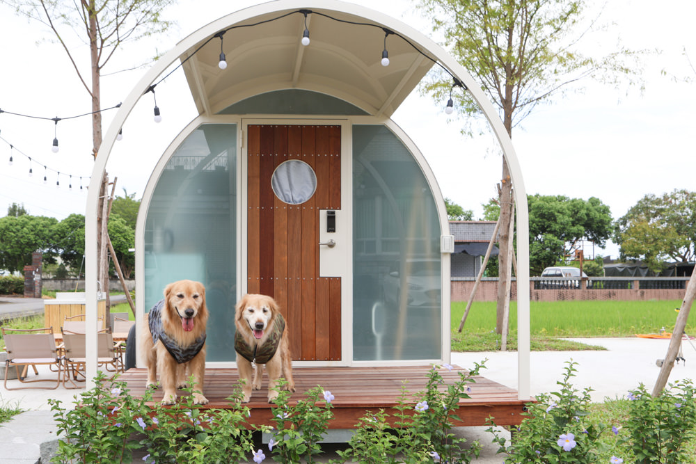 宜蘭三星|曼漫落羽松奶凍車莊園、獨家奶凍露營車、寵物友善、露營奶凍屋、五星級豪華露營車 - 第8張圖 宜蘭三星|曼漫落羽松奶凍車莊園、獨家奶凍露營車、寵物友善、露營奶凍屋、五星級豪華露營車
