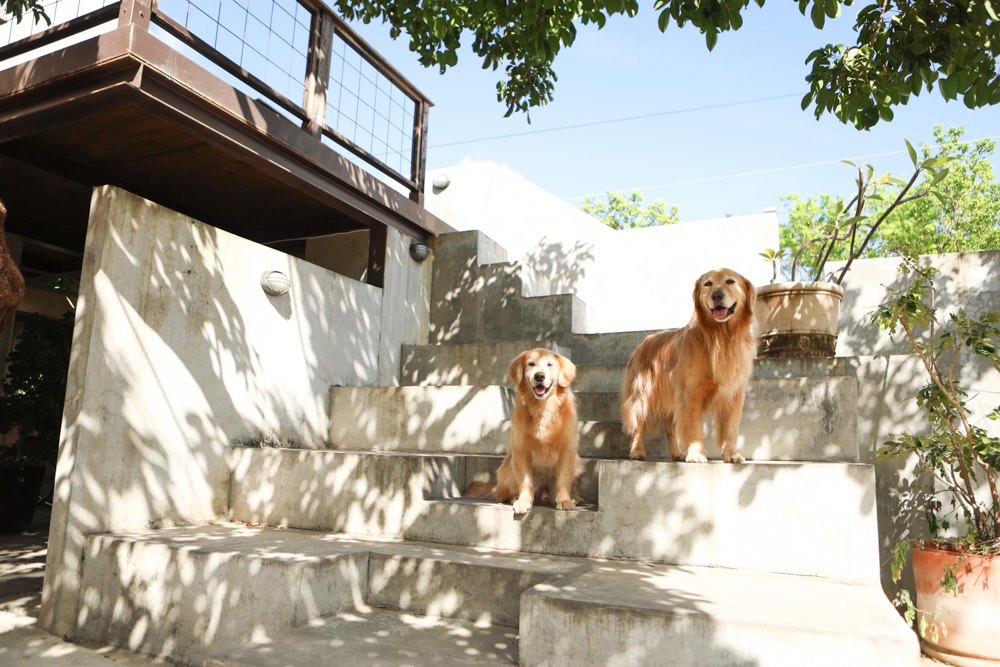 墾丁恆春美食|好好吃飯Jiăhó。屏東在地小食堂、恆春在地私房好味道、寵物友善餐廳 - 第3張圖 墾丁恆春美食|好好吃飯Jiăhó。屏東在地小食堂、恆春在地私房好味道、寵物友善餐廳