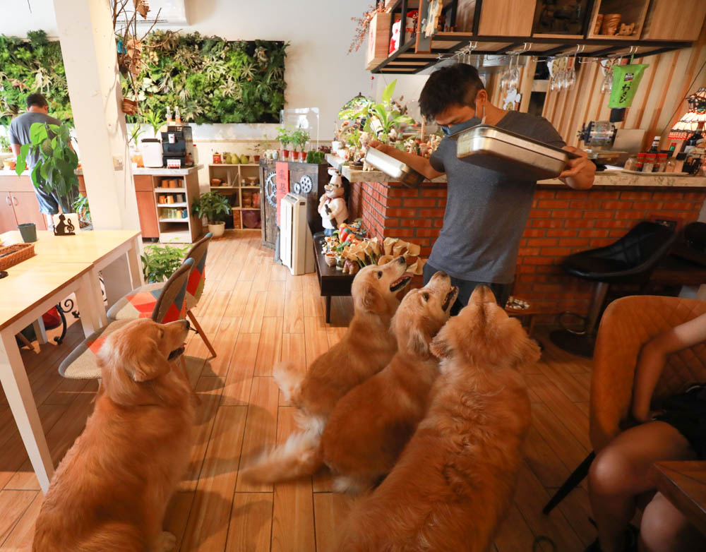 花蓮美食｜好好洋食。花蓮寵物友善餐廳、美國牛排、自助式蔬食沙拉吧、異國米飯套餐料理