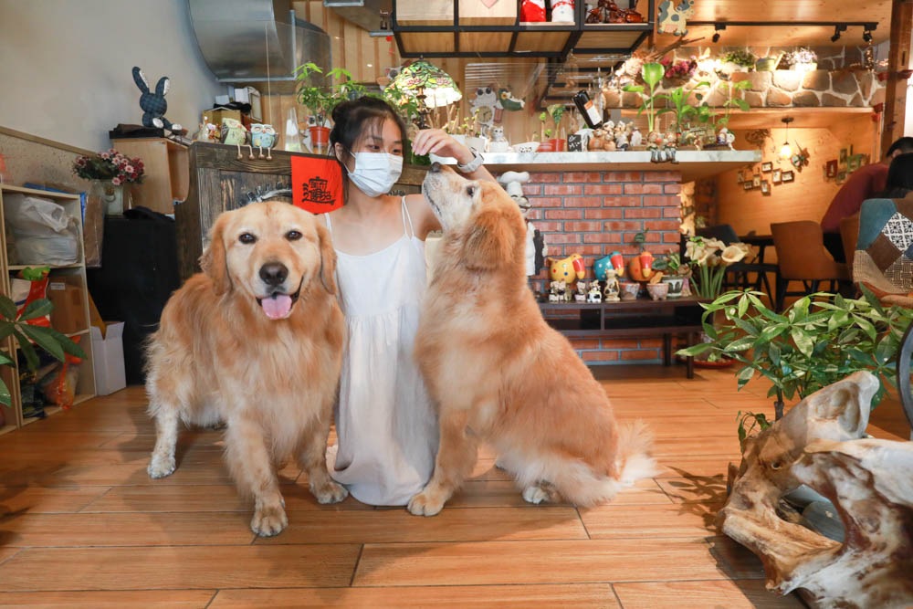 花蓮美食｜好好洋食。花蓮寵物友善餐廳、美國牛排、自助式蔬食沙拉吧、異國米飯套餐料理