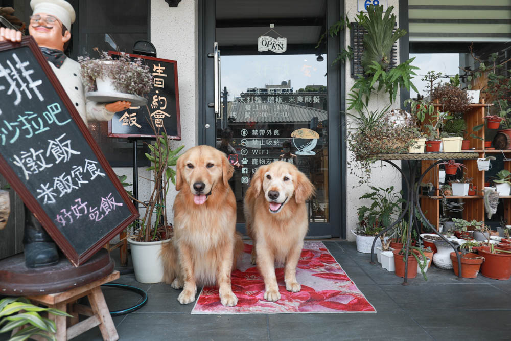 花蓮美食｜好好洋食。花蓮寵物友善餐廳、美國牛排、自助式蔬食沙拉吧、異國米飯套餐料理