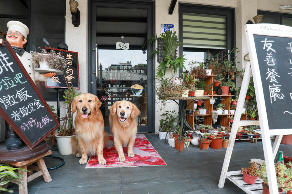 花蓮美食｜好好洋食。花蓮寵物友善餐廳、美國牛排、自助式蔬食沙拉吧、異國米飯套餐料理