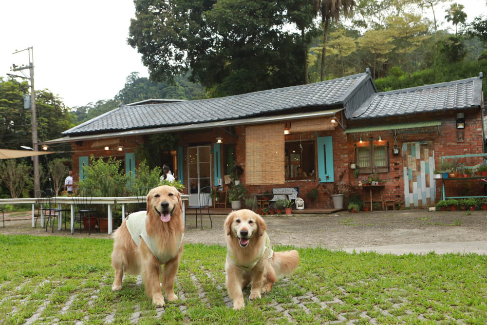 新北三峽|好適山坡GUHill。隱藏在山林中的古厝紅磚咖啡廳、寵物友善餐廳、老屋咖啡廳 - 第3張圖 新北三峽|好適山坡GUHill。隱藏在山林中的古厝紅磚咖啡廳、寵物友善餐廳、老屋咖啡廳