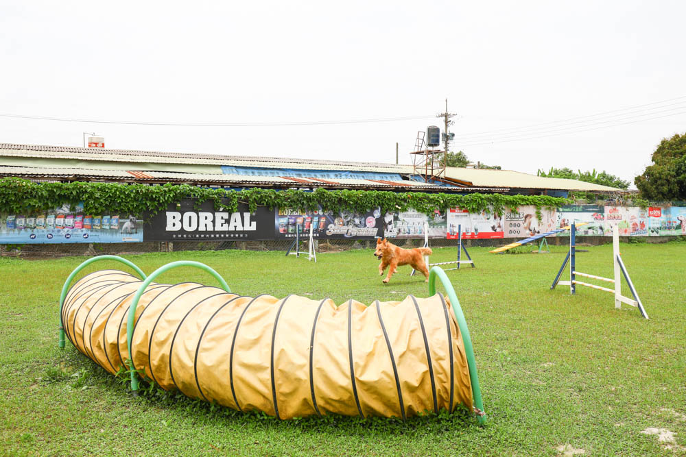 屏東萬丹|嬌滴滴寵物運動園。游泳池、大草皮、寵物休閒農場、寵物餐廳、兒童沙坑 (屏東寵物友善景點) - 第19張圖 屏東萬丹|嬌滴滴寵物運動園。游泳池、大草皮、寵物休閒農場、寵物餐廳、兒童沙坑 (屏東寵物友善景點)
