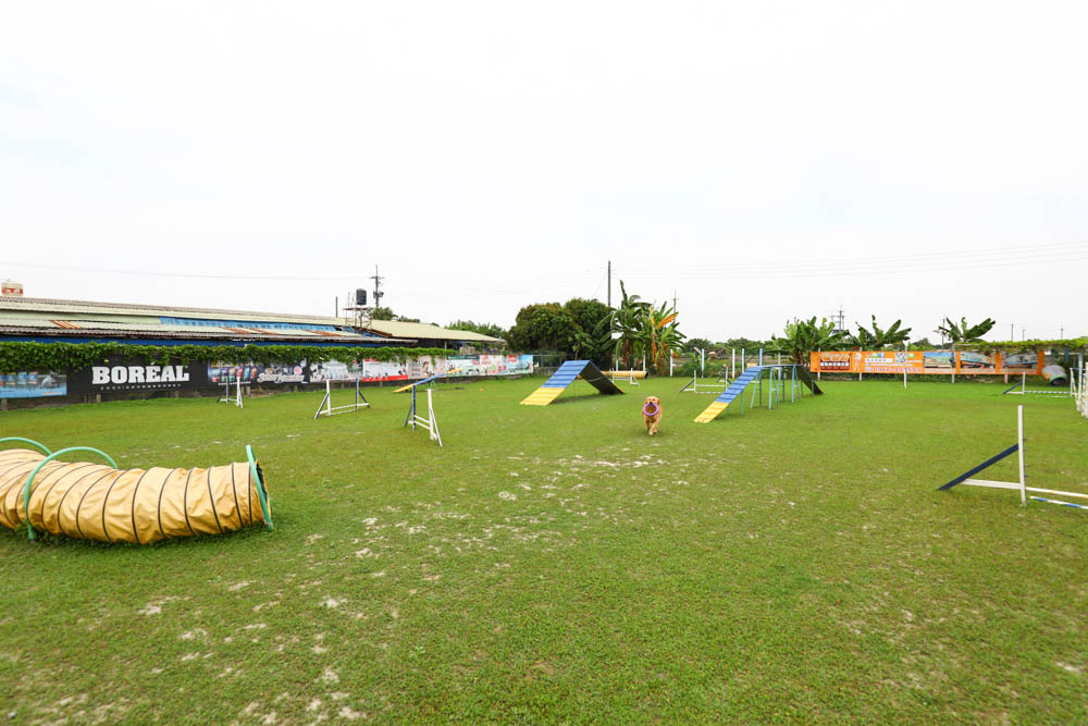 屏東萬丹|嬌滴滴寵物運動園。游泳池、大草皮、寵物休閒農場、寵物餐廳、兒童沙坑 (屏東寵物友善景點) - 第21張圖 屏東萬丹|嬌滴滴寵物運動園。游泳池、大草皮、寵物休閒農場、寵物餐廳、兒童沙坑 (屏東寵物友善景點)