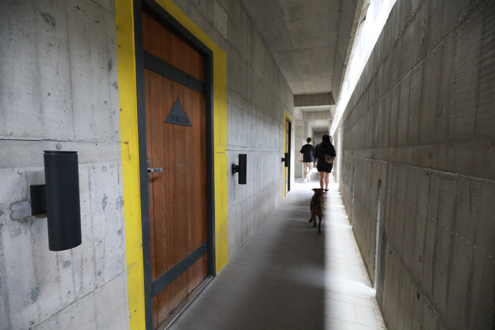 宜蘭礁溪住宿推薦｜有朋會館-溪山間的寶盒。寵物友善民宿、絕美森林系villa民宿