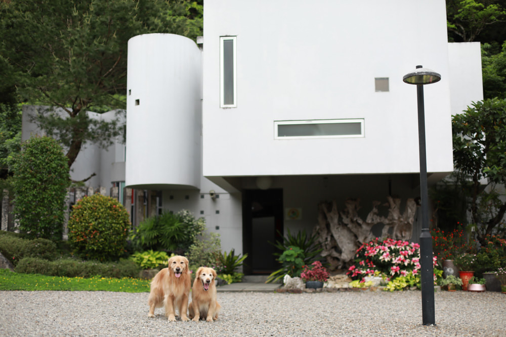 宜蘭礁溪住宿推薦｜有朋會館-溪山間的寶盒。寵物友善民宿、絕美森林系villa民宿
