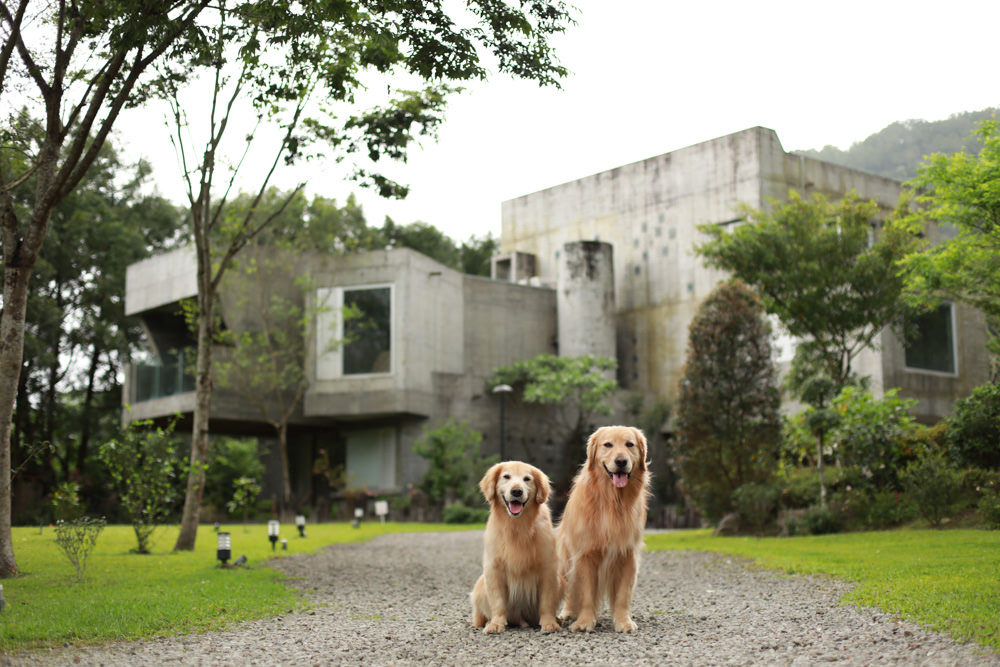 宜蘭礁溪住宿推薦｜有朋會館-溪山間的寶盒。寵物友善民宿、絕美森林系villa民宿