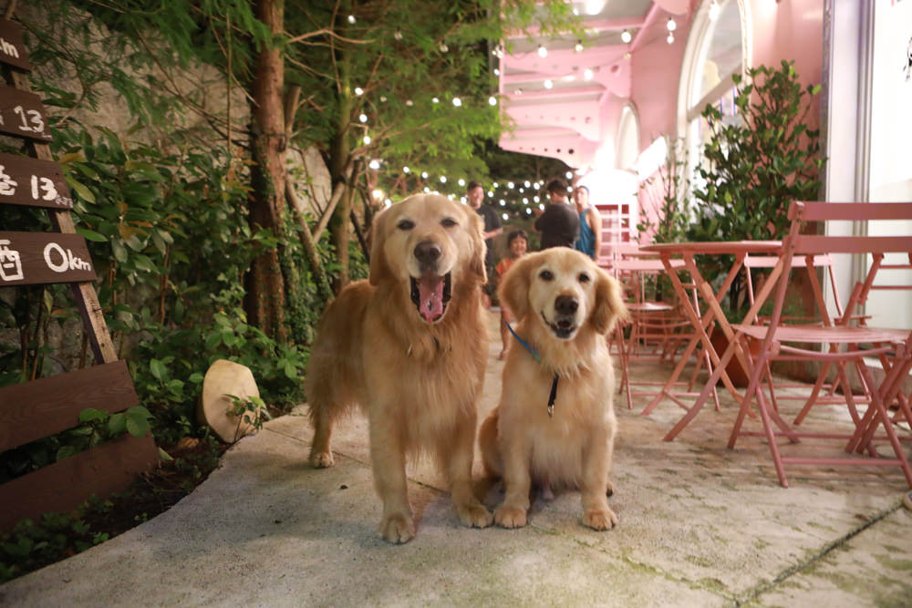 宜蘭頭城美食|MOOGA THAI姆卡泰式廚房。寵物友善餐廳、粉紅城堡中大啖道地泰國料理 - 第1張圖 宜蘭頭城美食|MOOGA THAI姆卡泰式廚房。寵物友善餐廳、粉紅城堡中大啖道地泰國料理