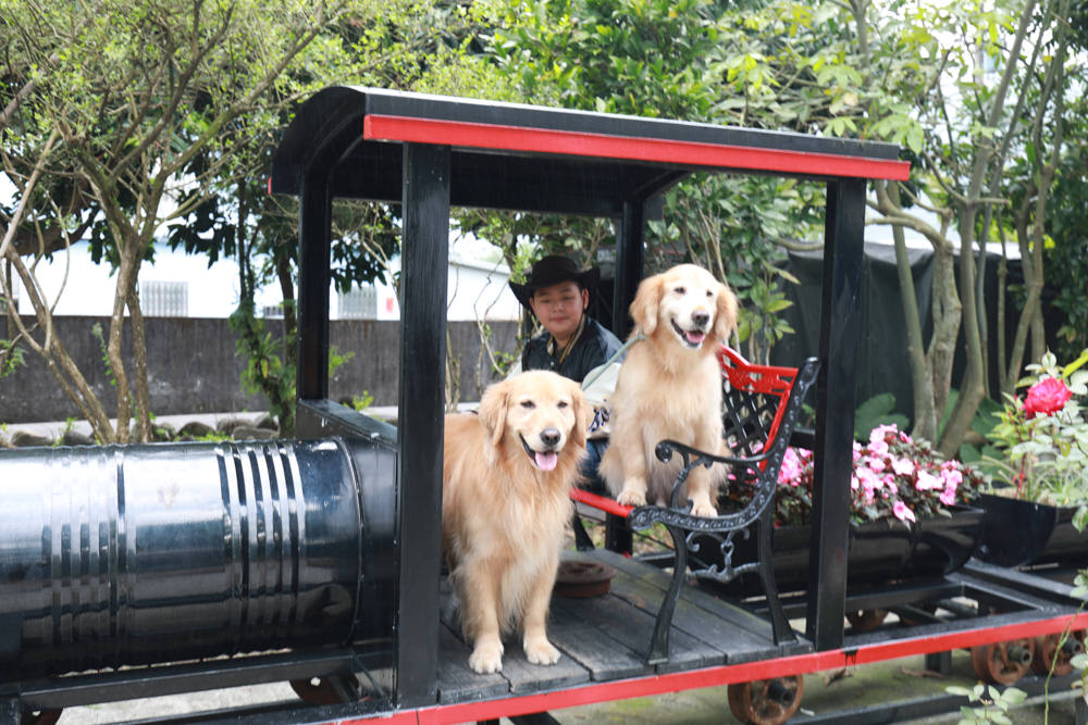 宜蘭礁溪人氣早餐|白雲山鹿。礁溪老屋古早味早餐、寵物友善、招牌粉漿蛋餅、蘿蔔糕、木桶油飯必吃!! - 第12張圖 宜蘭礁溪人氣早餐|白雲山鹿。礁溪老屋古早味早餐、寵物友善、招牌粉漿蛋餅、蘿蔔糕、木桶油飯必吃!!