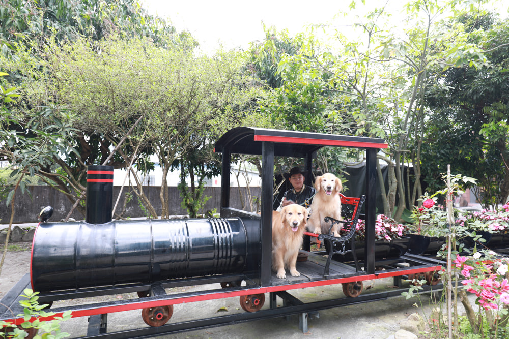 宜蘭礁溪人氣早餐|白雲山鹿。礁溪老屋古早味早餐、寵物友善、招牌粉漿蛋餅、蘿蔔糕、木桶油飯必吃!! - 第11張圖 宜蘭礁溪人氣早餐|白雲山鹿。礁溪老屋古早味早餐、寵物友善、招牌粉漿蛋餅、蘿蔔糕、木桶油飯必吃!!
