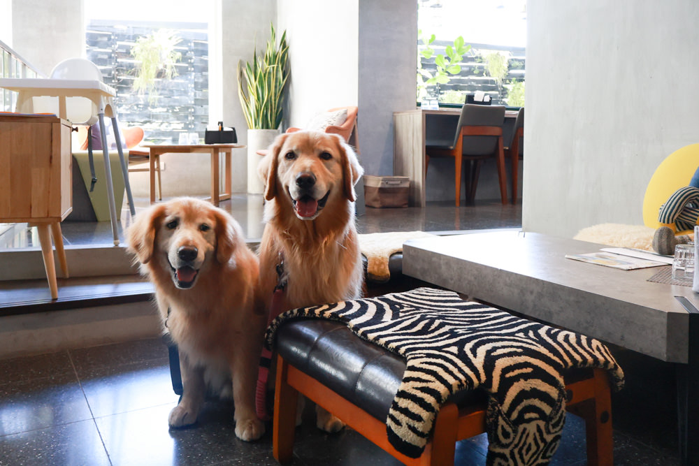 宜蘭美食｜向陽早午餐。寵物友善餐廳、森林系老屋咖啡廳、氛圍感十足的日式飯糰！！