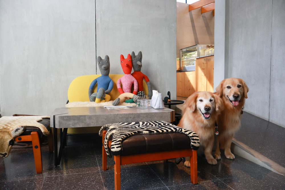 宜蘭美食｜向陽早午餐。寵物友善餐廳、森林系老屋咖啡廳、氛圍感十足的日式飯糰！！