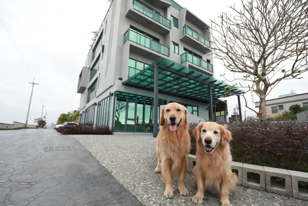 宜蘭礁溪民宿｜蒔裳秝景 Chance Villa 262。佇立於稻田中的絕美清水模民宿、寵物友善民宿、宜蘭包棟民宿