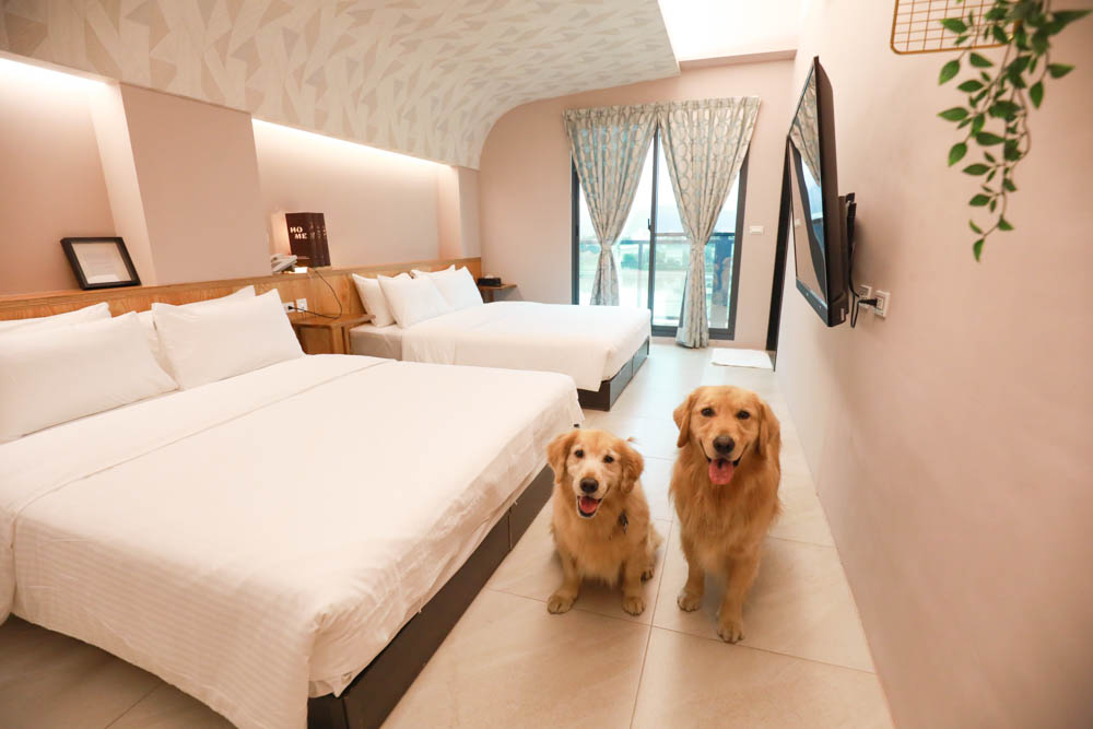 宜蘭礁溪民宿｜蒔裳秝景 Chance Villa 262。佇立於稻田中的絕美清水模民宿、寵物友善民宿、宜蘭包棟民宿