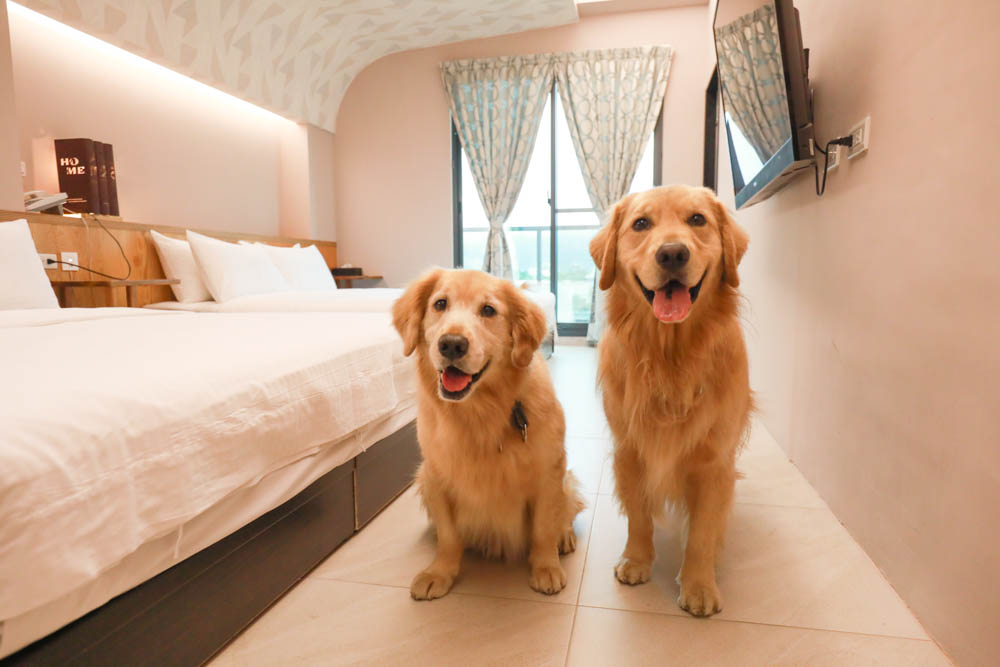 宜蘭礁溪民宿｜蒔裳秝景 Chance Villa 262。佇立於稻田中的絕美清水模民宿、寵物友善民宿、宜蘭包棟民宿