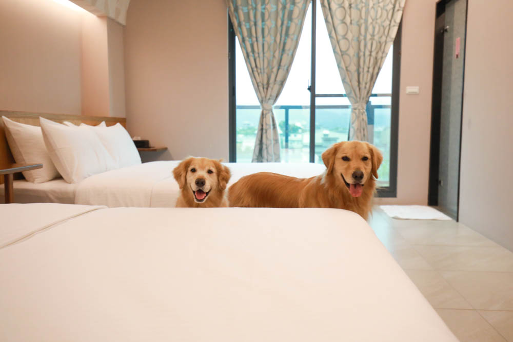 宜蘭礁溪民宿｜蒔裳秝景 Chance Villa 262。佇立於稻田中的絕美清水模民宿、寵物友善民宿、宜蘭包棟民宿