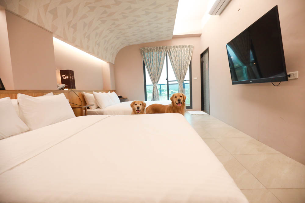 宜蘭礁溪民宿｜蒔裳秝景 Chance Villa 262。佇立於稻田中的絕美清水模民宿、寵物友善民宿、宜蘭包棟民宿