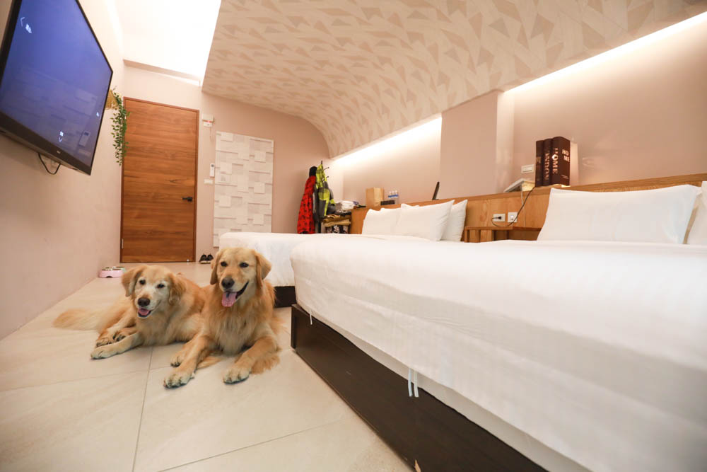 宜蘭礁溪民宿｜蒔裳秝景 Chance Villa 262。佇立於稻田中的絕美清水模民宿、寵物友善民宿、宜蘭包棟民宿