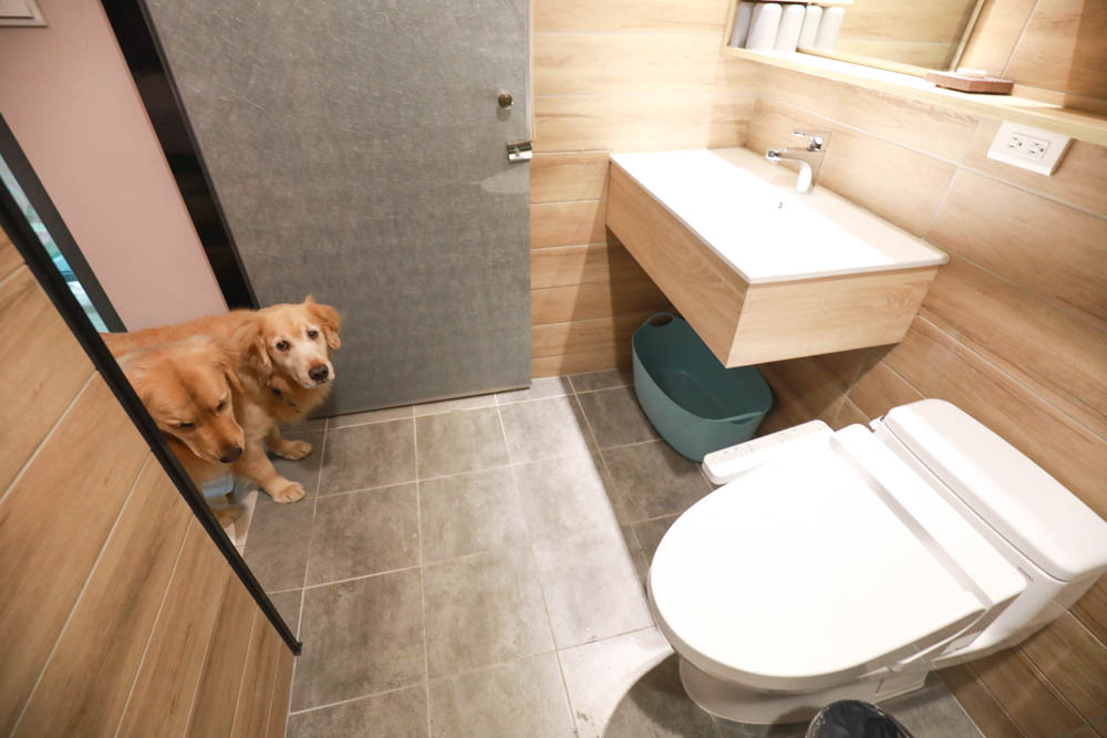 宜蘭礁溪民宿｜蒔裳秝景 Chance Villa 262。佇立於稻田中的絕美清水模民宿、寵物友善民宿、宜蘭包棟民宿