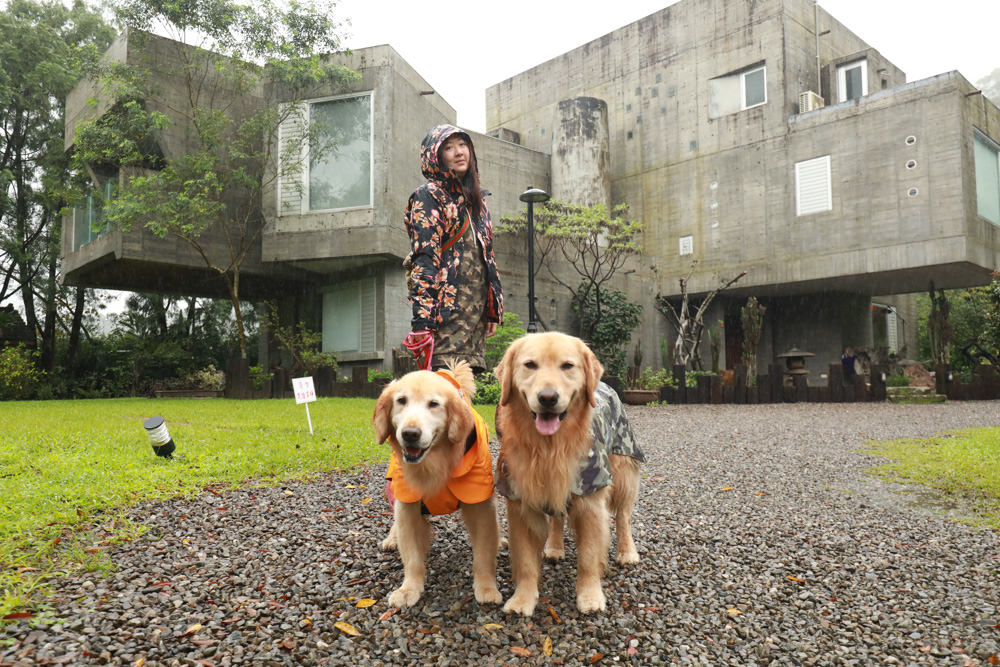 宜蘭礁溪住宿推薦｜有朋會館-溪山間的寶盒。寵物友善民宿、絕美森林系villa民宿