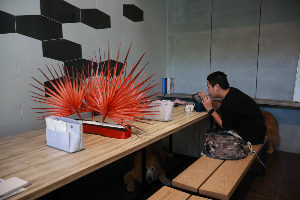 宜蘭美食｜向陽早午餐。寵物友善餐廳、森林系老屋咖啡廳、氛圍感十足的日式飯糰！！