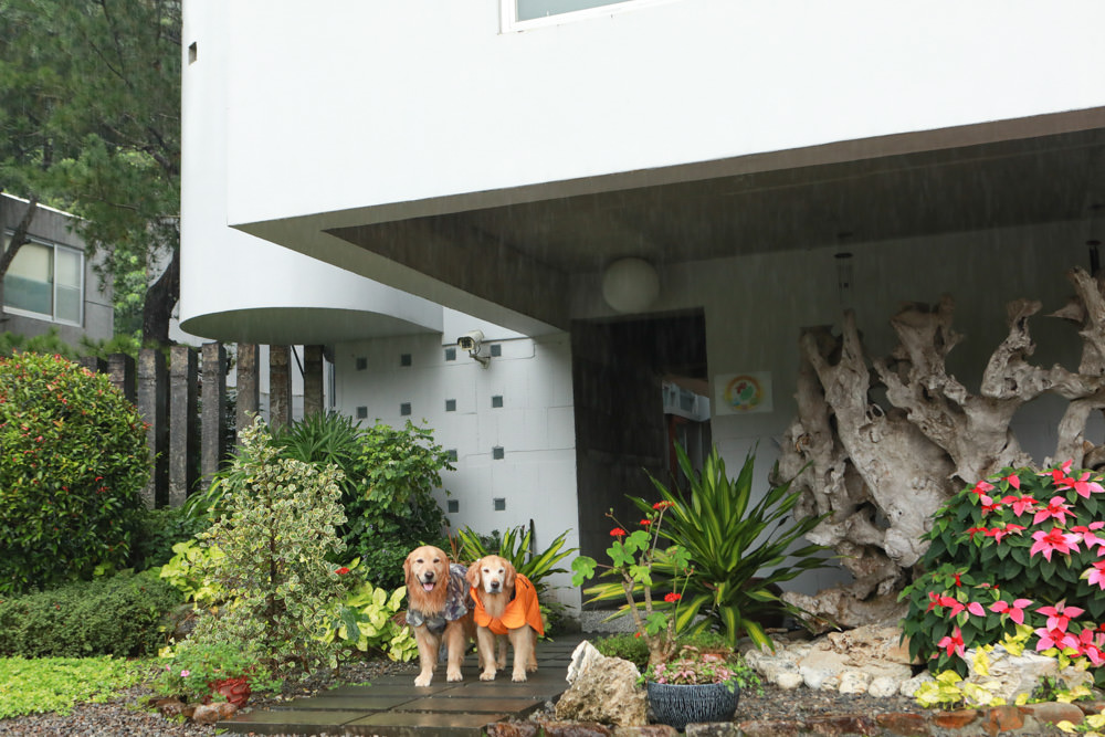 宜蘭礁溪住宿推薦｜有朋會館-溪山間的寶盒。寵物友善民宿、絕美森林系villa民宿
